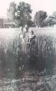 Albert Parker in Grain Field